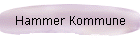 Hammer Kommune